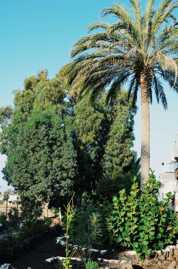 شقة Apartamento Privado Con Piscina طوستا ديل سيلونثيو المظهر الخارجي الصورة